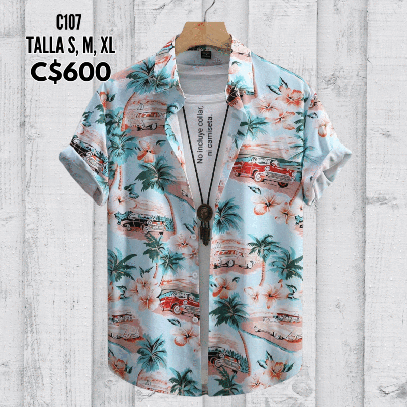 Camisa de vestir.--C107