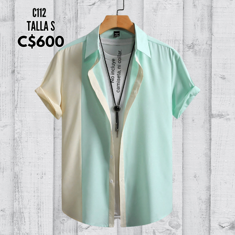Camisa de vestir.--C112