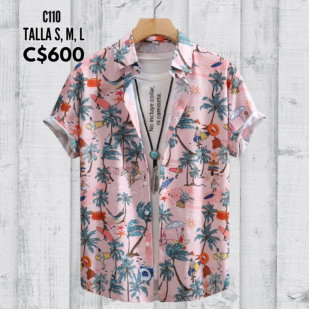 Camisa de vestir.--C110