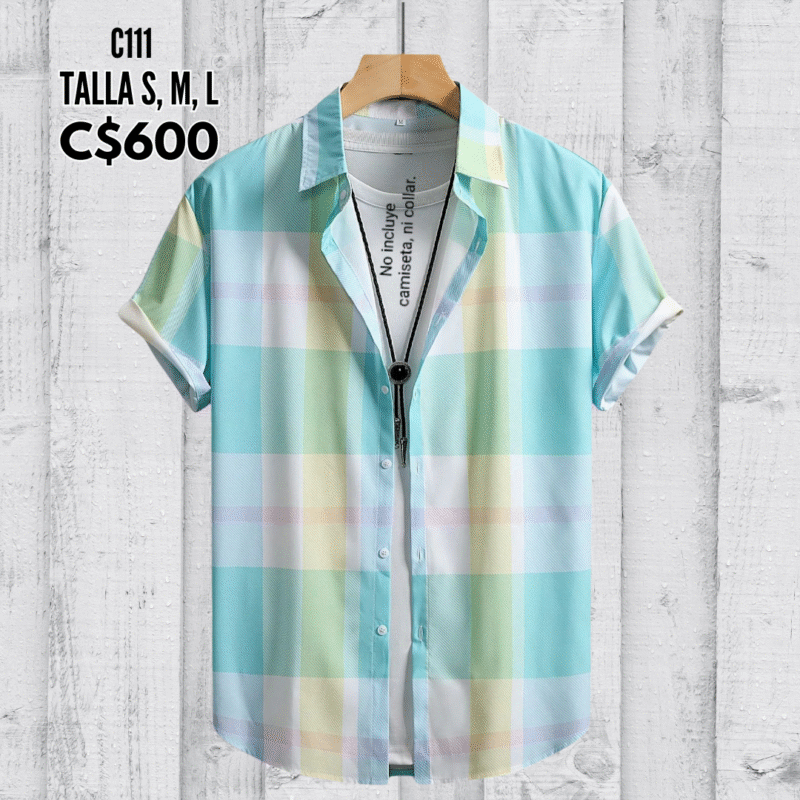 Camisa de vestir.--C111