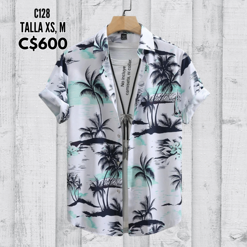 Camisa de vestir.--C128
