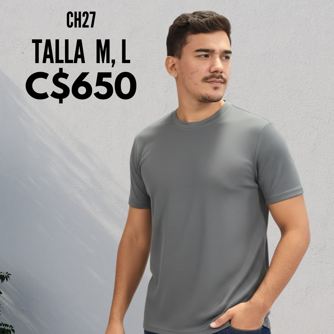 Camisa gris cuello redondo - CH27